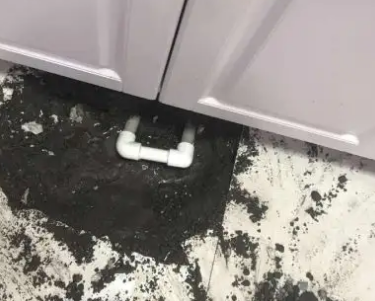 利辛查漏水哪家好
